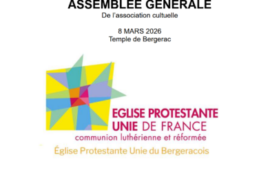 Rapport d&rsquo;activité: Assemblée générale
