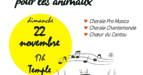 Concert : Des Chœurs pour les animaux, dimanche 22 Novembre 2026 à 17h au Temple de Bergerac